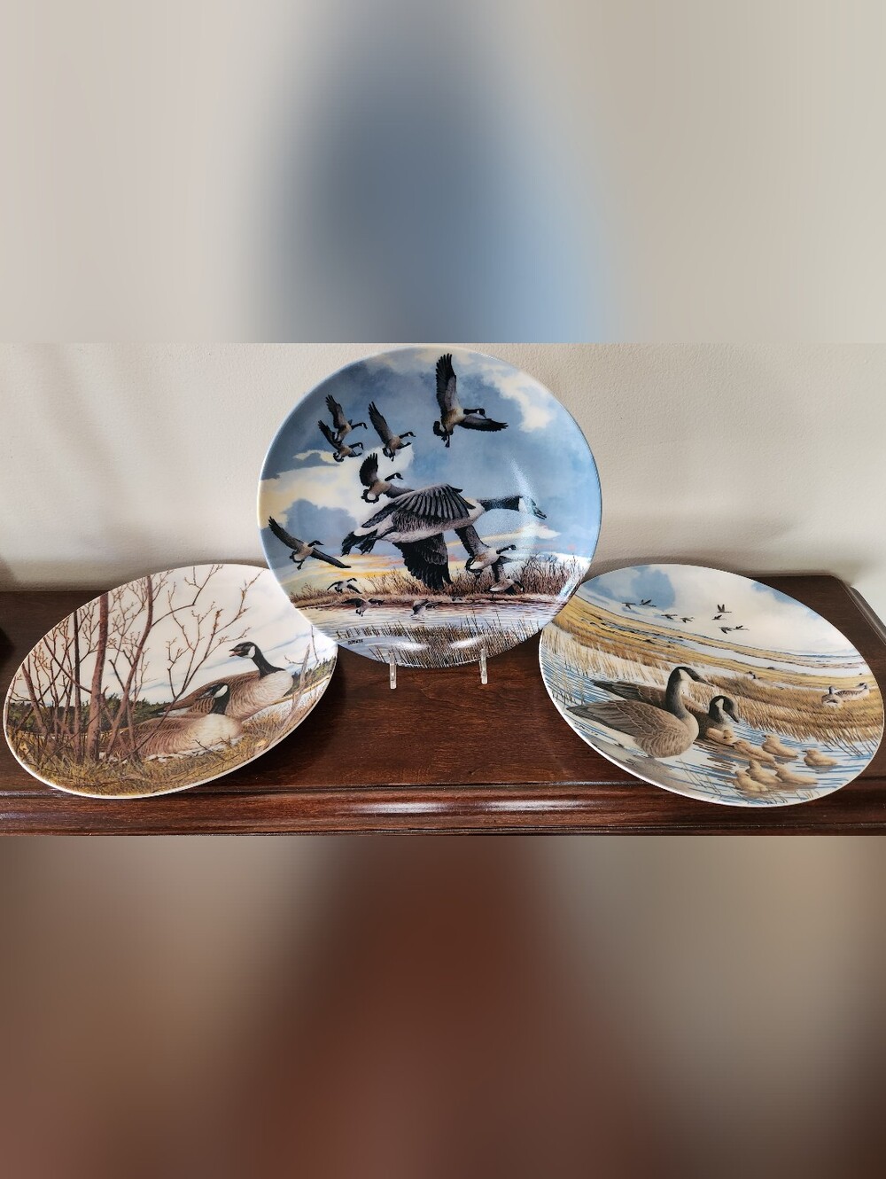 1986/87 Vintage "Winds Upon the Wind Plates